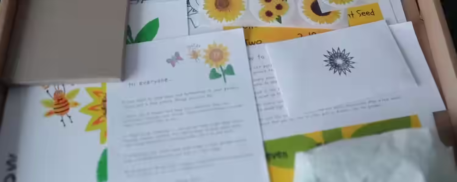 'Grow Tall Sid!' sunflower seed kit